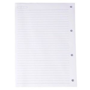 BLOCO FOLHA PARA FICHÁRIO 96 FOLHAS