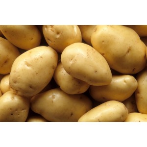 BATATA LISA 1KG